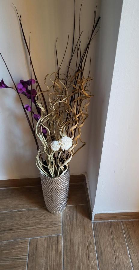 Rijeka Apartment With Free Parking And Large Balcony Exteriör bild