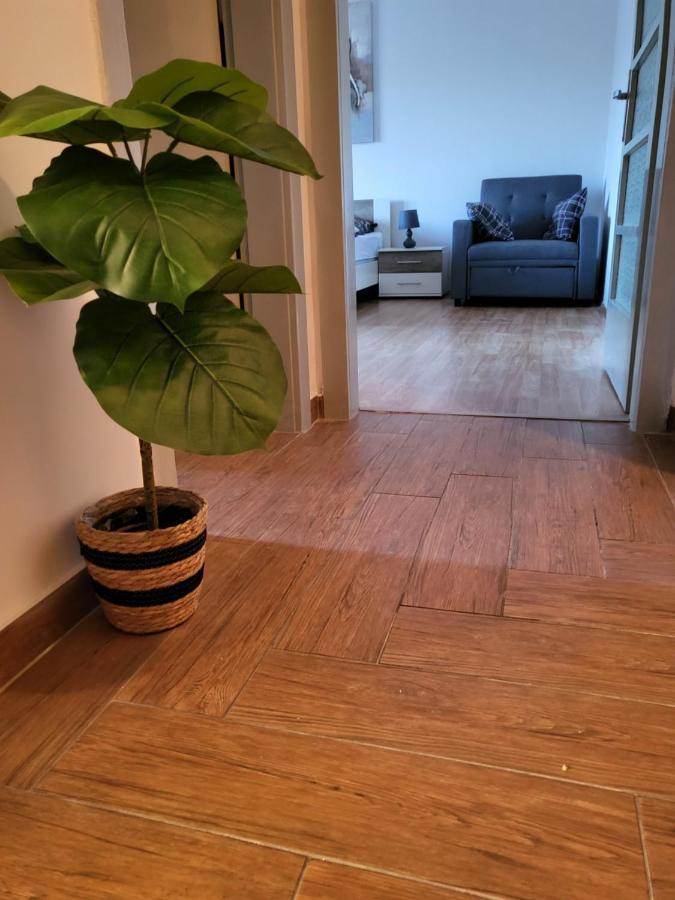 Rijeka Apartment With Free Parking And Large Balcony Exteriör bild